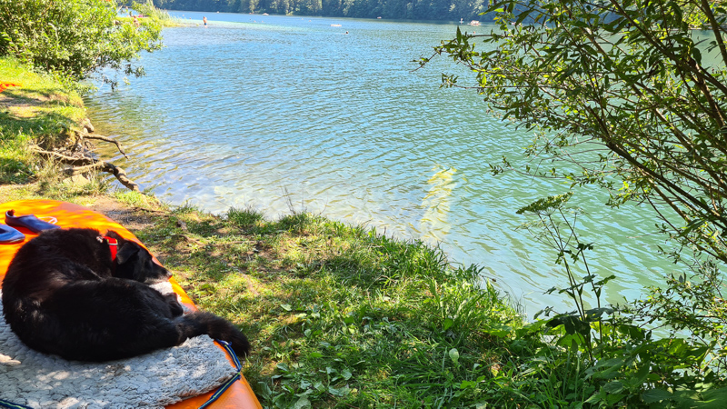LUnzer See baden mit Hund