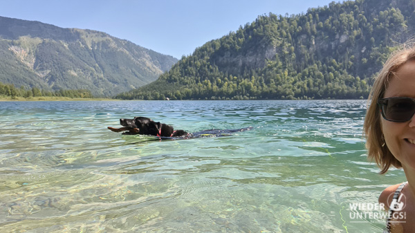 baden mit hund am offensee leinenpflicht