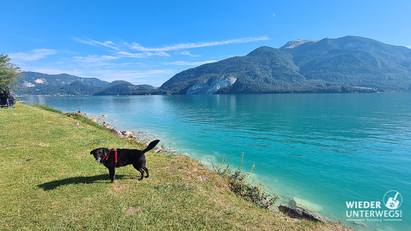 parkplatz gamsjaga am wolfgangsee