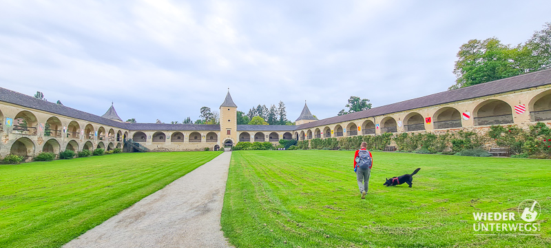 Rosenburg innenhof rosen