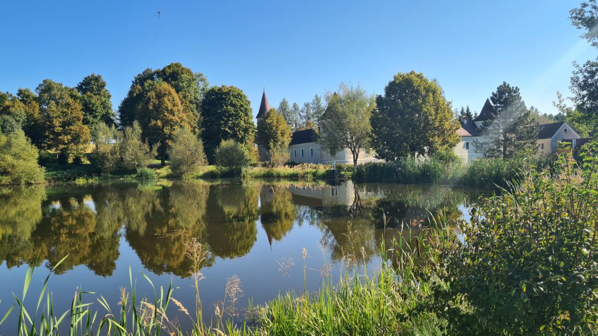 schloss waldreichs waldviertel