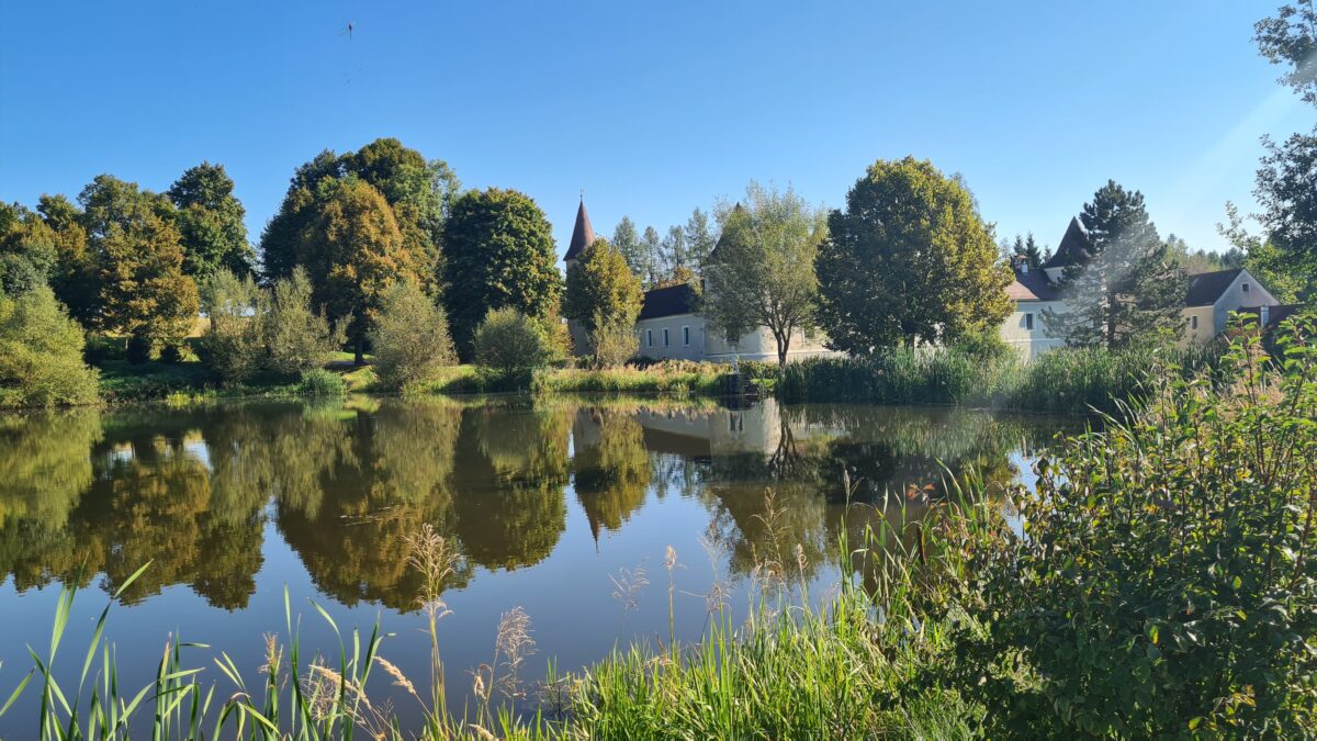 schloss waldreichs waldviertel