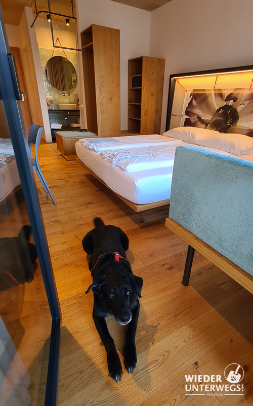 zimmer mit hund im hotel blü 