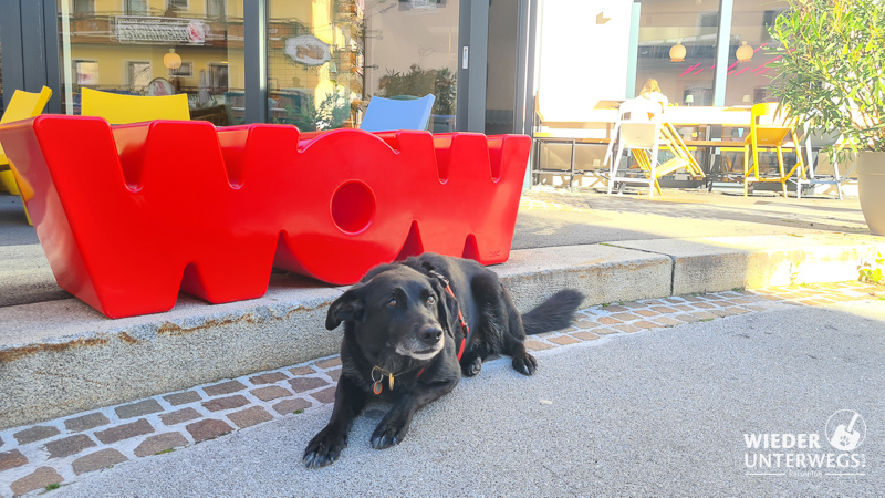 hotel mit hund blü dachterrassse 