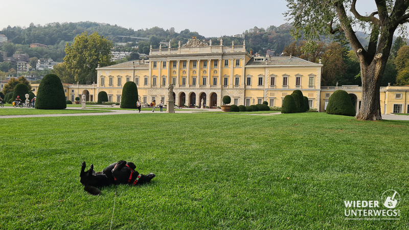 parkplatz villa olmo como comosee mit hund