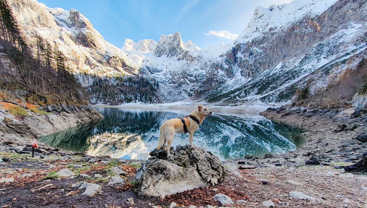 winterwanderung mit hund zu den gosauseen
