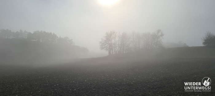Buschberg im Nebel