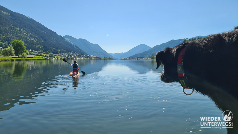 Seecamping Weissensee mit Hund im Sommer