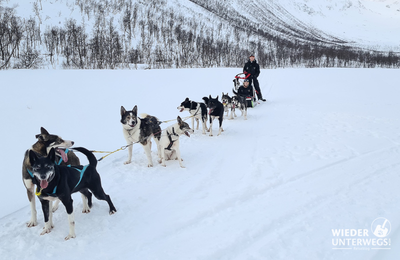 Tromsø Winter  huscky schlittenhunde tour