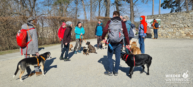 Führung mit hunden in der römerstadt carnuntum