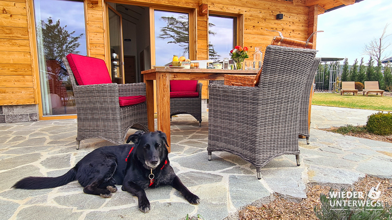 hund im chalet kittenberger schiltern kamptal auf der terrasse