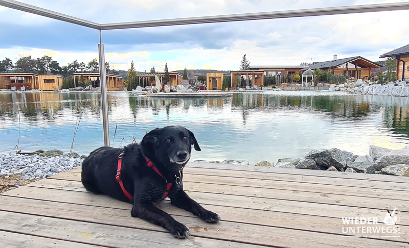 hund auf terrasse bei chalet kittenberger