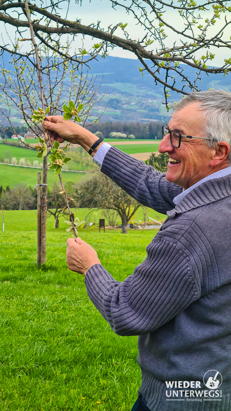 herr laschet pöllau hirschbirn