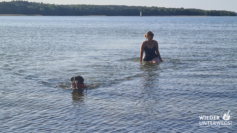 baden mit hund am camping echo in polen masuren