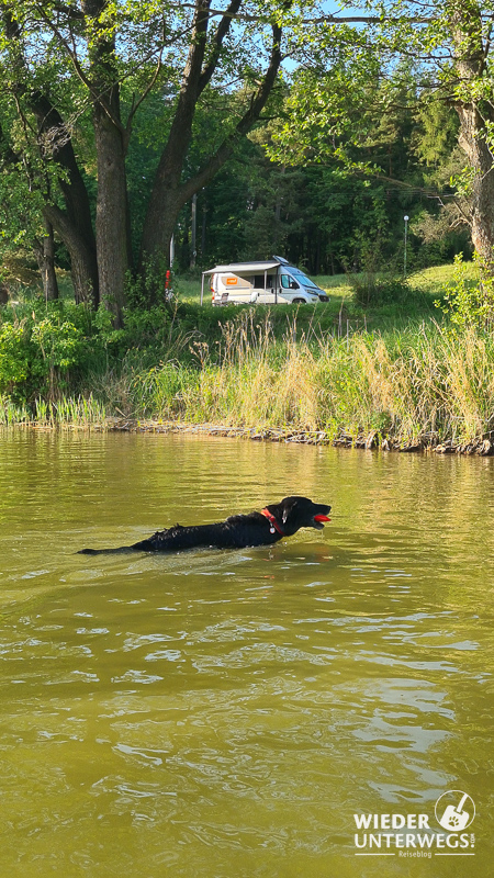 Camping mit Hund polen masuren