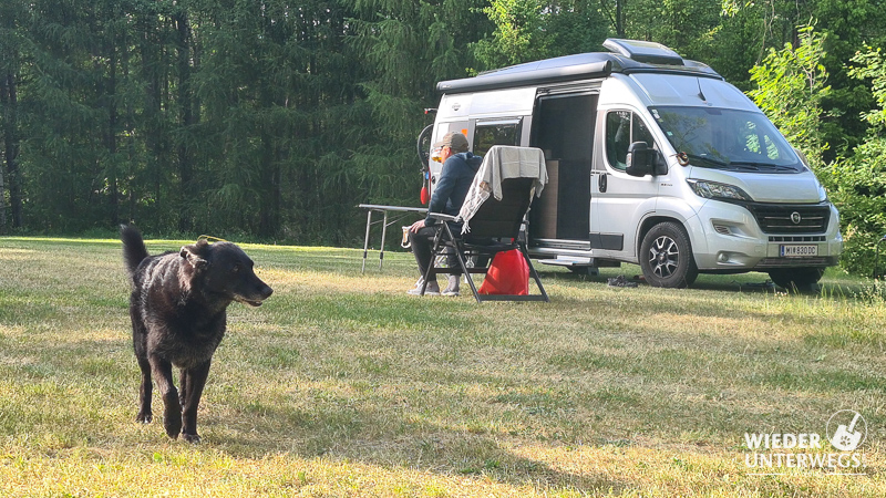 campingbus mit hund auf agrocamp in polen in masuren direkt am see