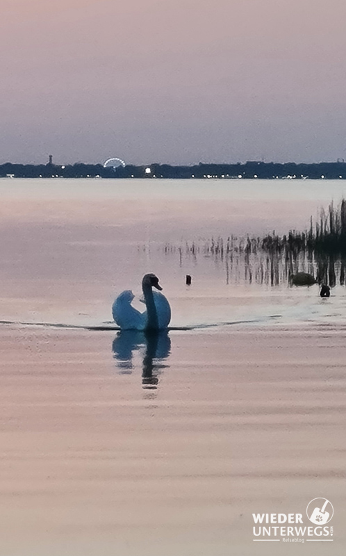 idylle mit schwan masuren camping