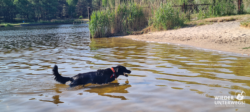strand beim see am campingplatz polen los nahe lodz