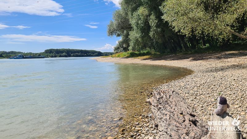 nationalpark donauauen stopfenreuther au badeplatz