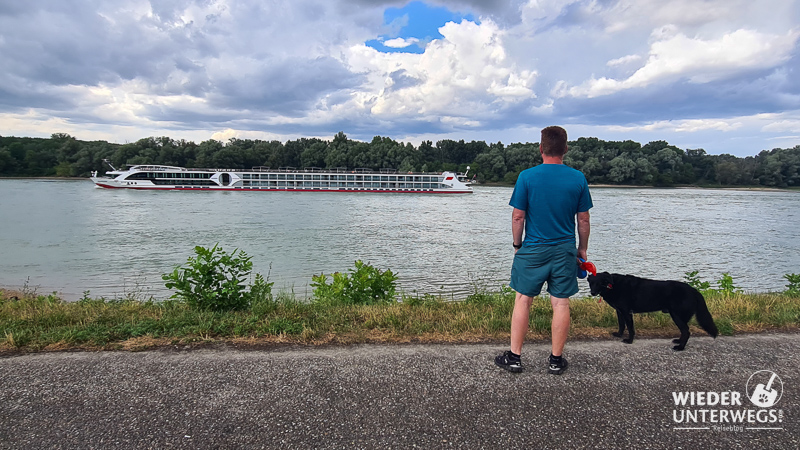 hund nationalpark donauauen