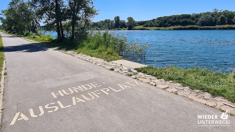 hundezone wien donauinsel süd