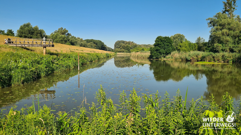 schönau an der donau wanderweg nationalpark donauauen