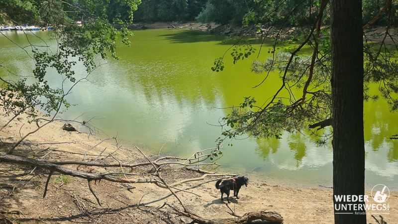 ottensteiner stausee