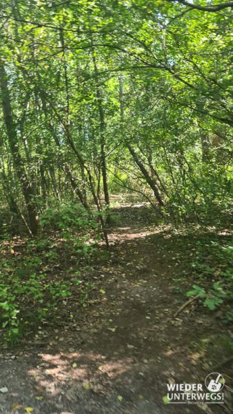 wanderweg dechantlacke lobau