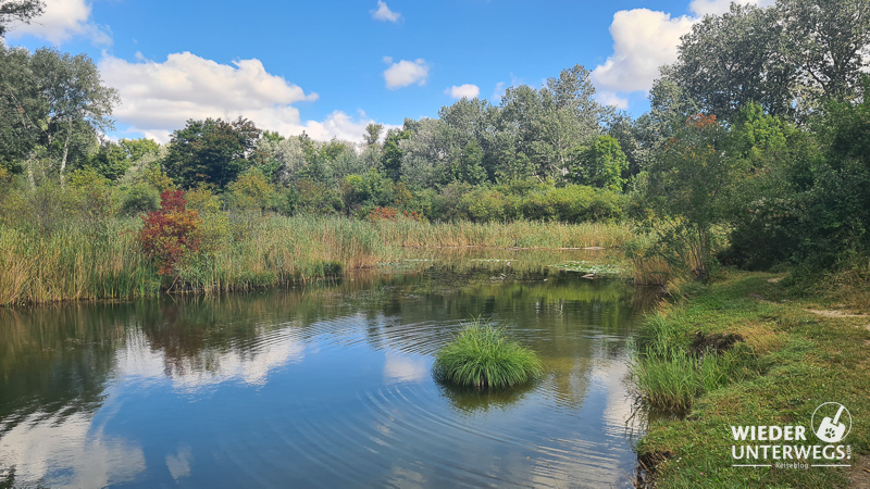 dechantlacke lobau