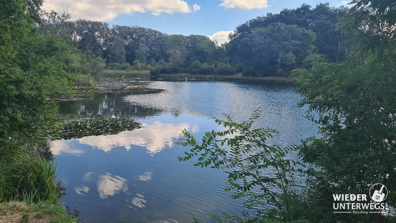 dechantlacke lobau vormittags