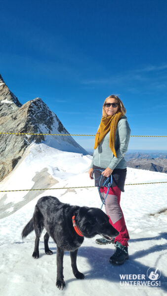 top of europe jungfraujoch mit hund