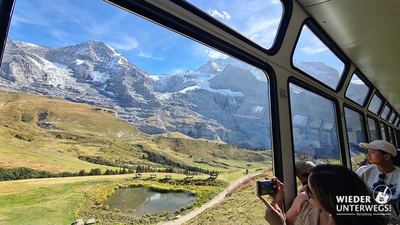 Wengernalpbahn jungfrau region