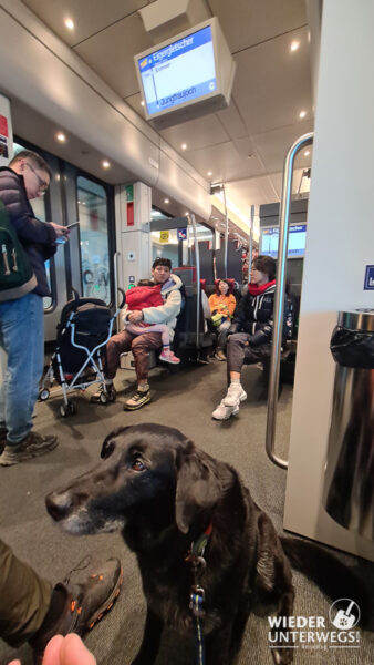 jungfraujoch bahn auffahrt mit hund