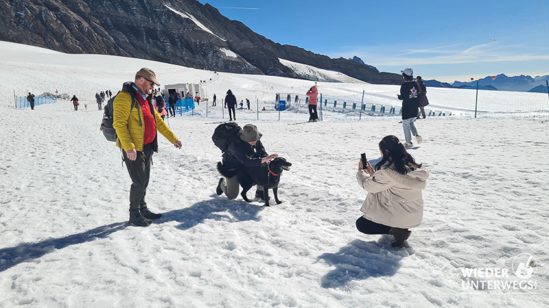 fotos touristen jungfraujoch