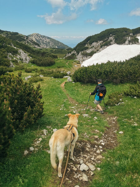 petzen wanderung mit hund