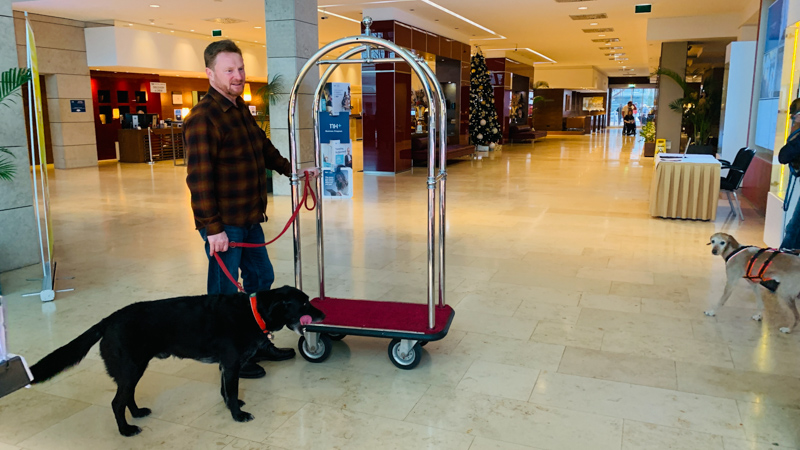 silvester mit hund flughafenhotel NH