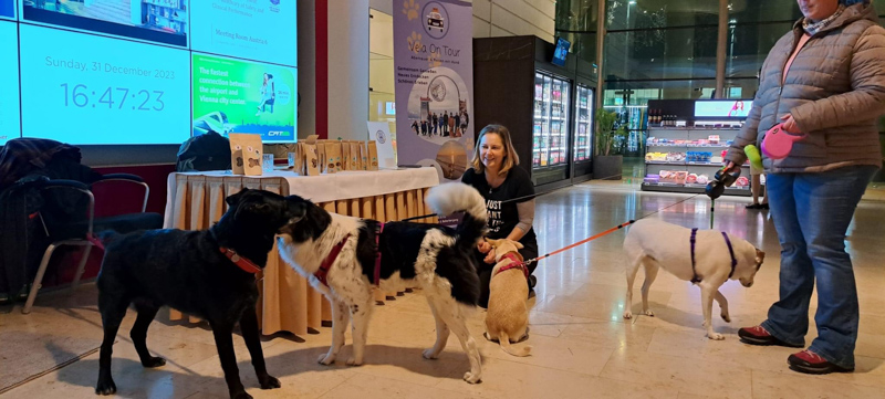 Hunde silvester nh hotel flughafen wien