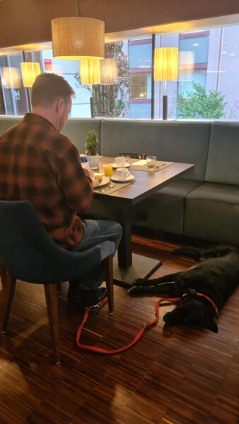 silvester mit hund frühstück flughafen wien