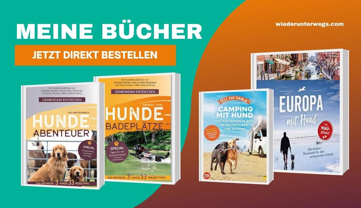 alle bücher von angelika mandler-saul