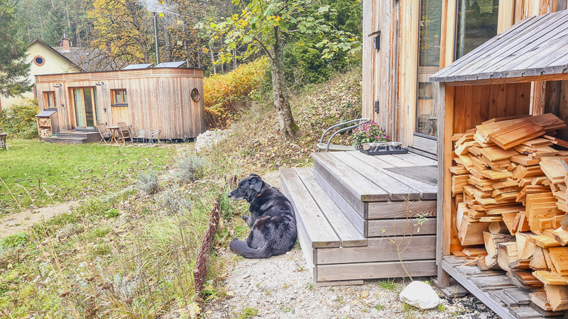 hund beim wohnwagon sitzend