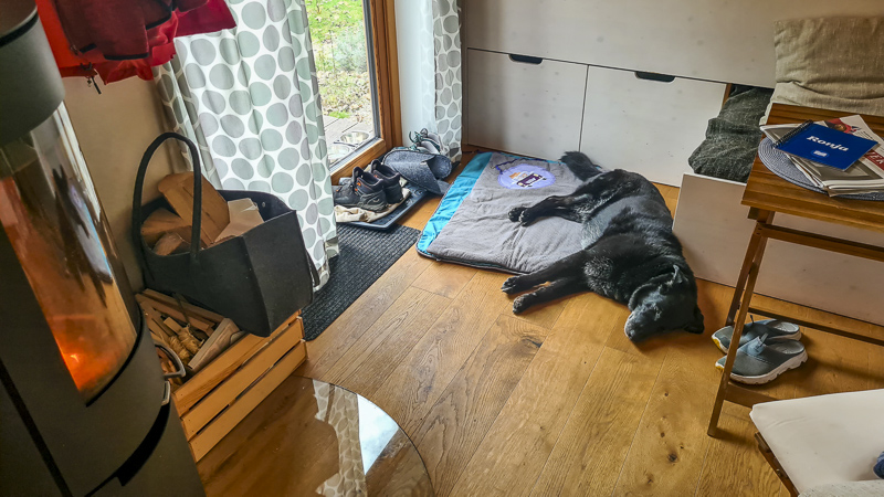 Hund schlafend im Wohnwagon Ronja in Gutenstein