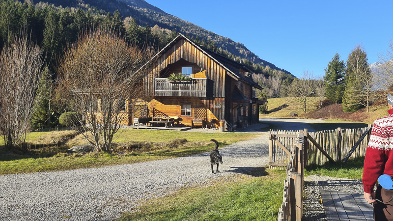 eingezäuntes chalet moserhof urlaub mit hund in kärnten