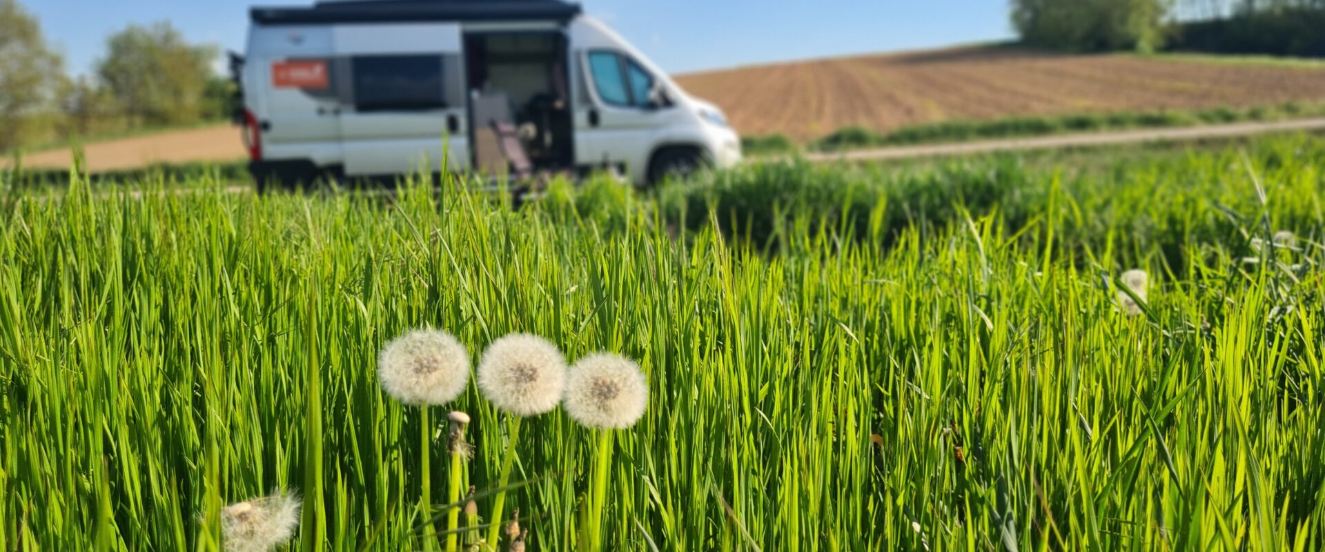 header landvergnügen im weinviertel beim weingut zickl