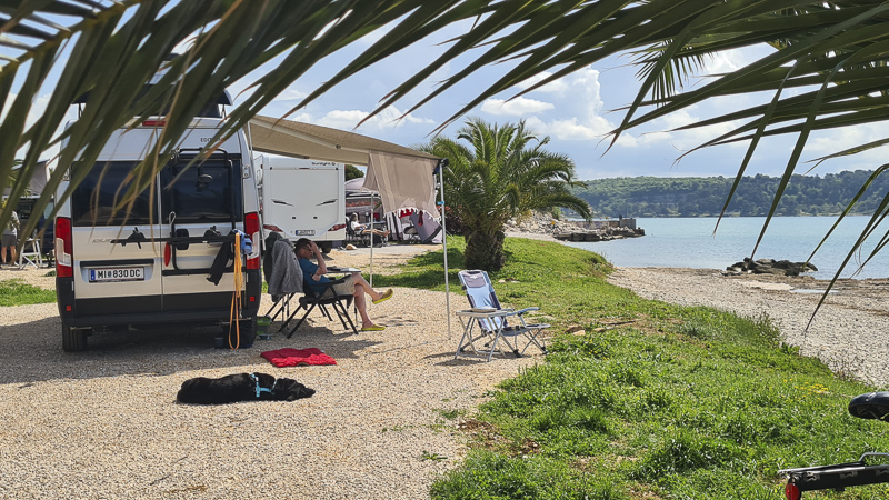 camping novigrad mit hund