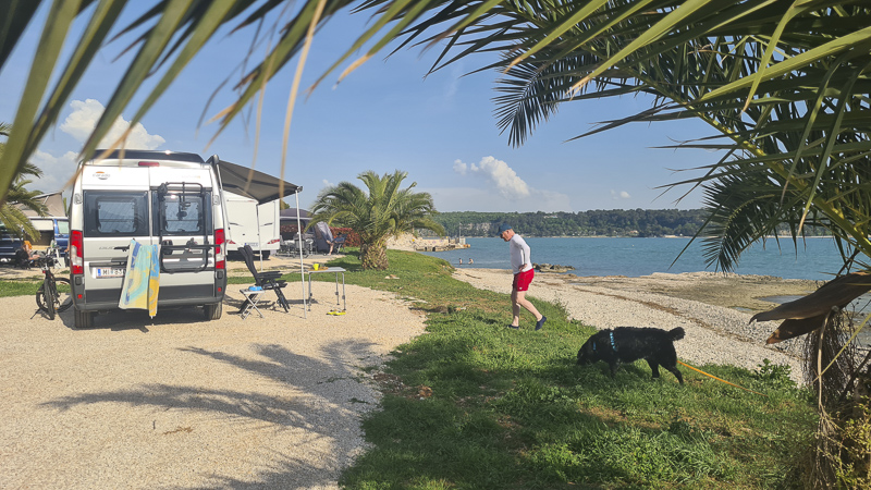 campingplatz mit hund novigrad aminess sirena
