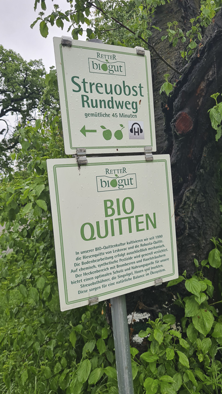 hotel retter quitten wellness
