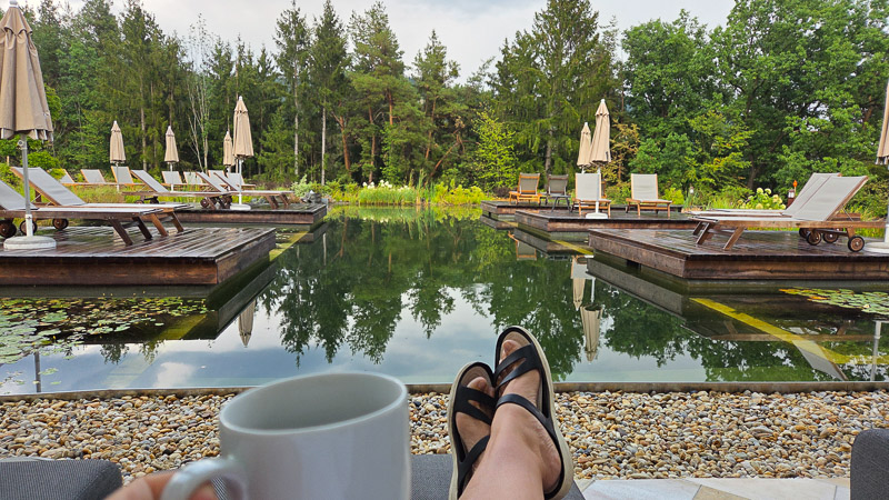 morgens am bioschwimmteich