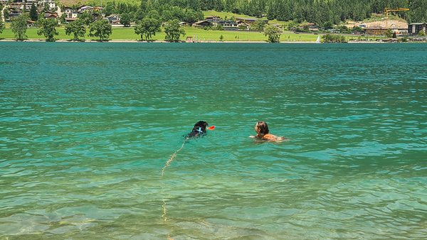 schwimmen mit hund an der leine am achensee