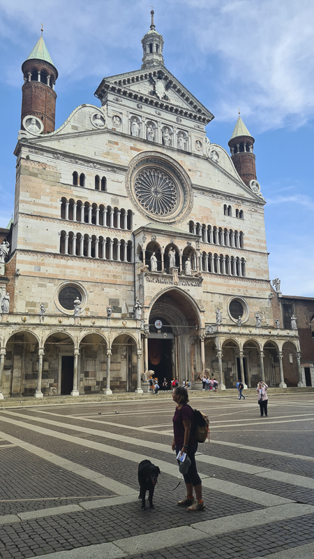 cremona dom mit hund