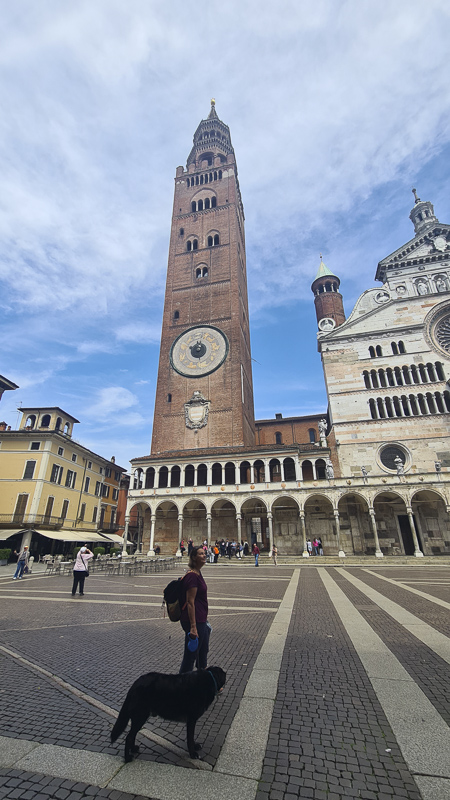campanile mit hund in cremona